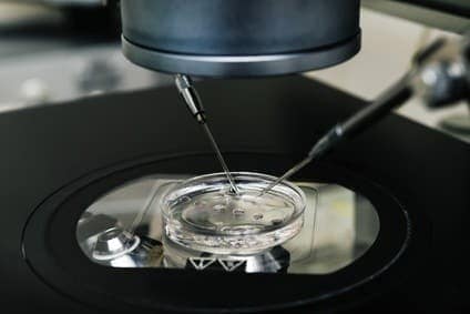 Come funziona la fecondazione in vitro (FIVET)?