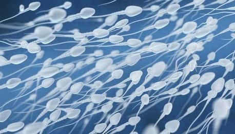 Banca del seme: contenitori criogenici per conservazione dello sperma in laboratorio