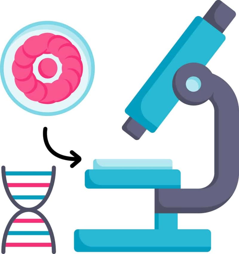 Concetto di test di diagnosi genetica preimpianto